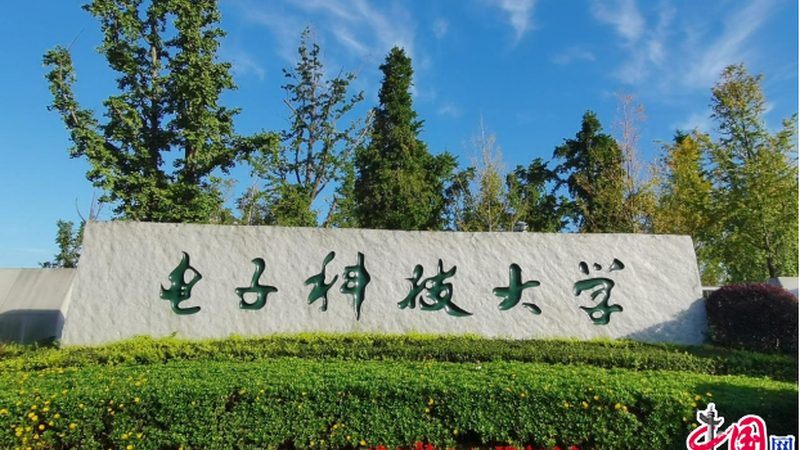 小型电子科技公司加盟，揭秘加盟价格背后的考量**