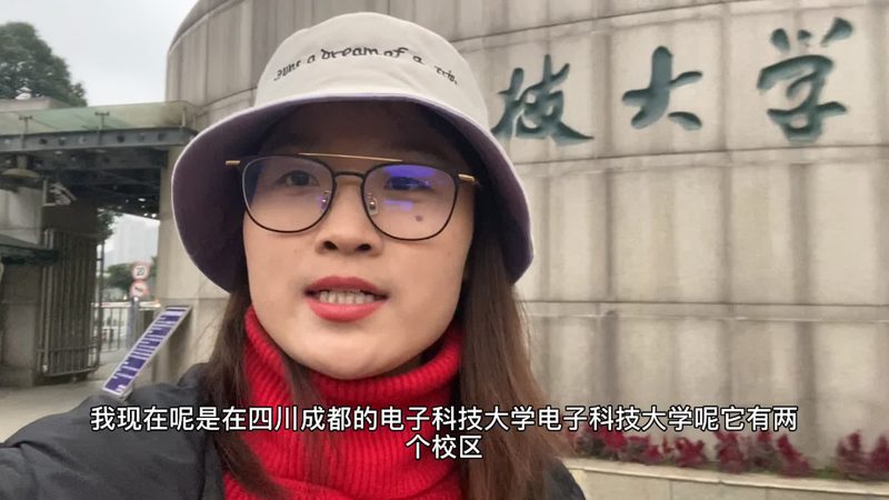电子模块接线：如何权衡优缺点**